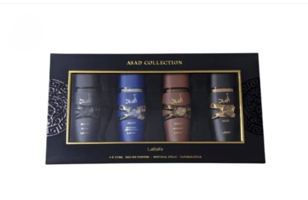 1b02dfae-930d-4f7f-8a70-cff6ff96cb52 مجموعة أسد