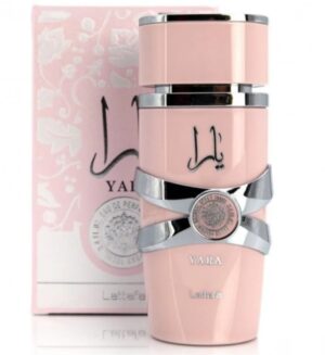 ef2f082b-7ad6-4993-8308-1bfe79615a67 يارا